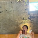 예사향농원 | [제주] 커피의 정석, 커피템플