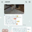 해애루민박 네이버블로그