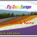 하늘을 날다 이미지