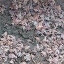 월학농장 이미지