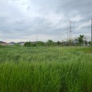 복福부동산공인중개사사무소 이미지