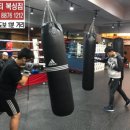 트리니티 복싱짐 이미지