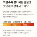 하늘파트너스 | 태백하늘김치 10kg 후기 진짜 괜찮을까 김장김치 추천 이유 5가지