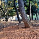 대촌한우곰탕숯불갈비 이미지