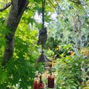 아이-정원 | 통영정원카페 사계절꽃정원 아이와 함께 아르세 방문 후기