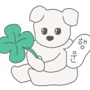 캠프정감 이미지
