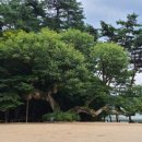 동물미용업 영업등록신청 이미지