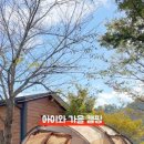 고성장좌리캠핑장 이미지