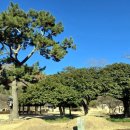 동백산방 | 운림산방(雲林山房)