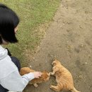 천안소소펜션 이미지