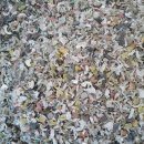 유한회사 다몸 이미지