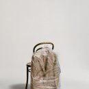 THE SPRING 이미지