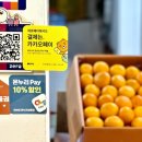 마포농수산물시장 시정일보