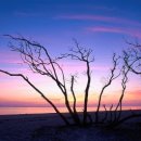 주식회사 동산 이미지