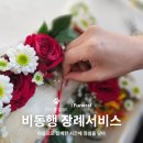 용산-현장-1670 | [반려동물 장례] 보호자 비동행 장례 서비스 , 펫브릿지