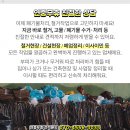 금당경로당 옆 이미지