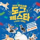 도그시티 이미지