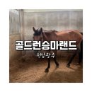 골드런승마랜드