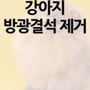 동물병원예지 이미지