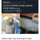 팀스포츠 종목에서, 팀팬들이 ‘일부’ 개인팬들을 극혐하는 이유 이미지