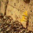 산성한의원 이미지