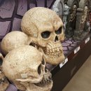 Halloween 준비는? 이미지