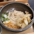 생활맥주고대안암점 | [고대 안암 점심 맛집] 일월의제면소 붓카케우동 에비텐푸라정식 후기 메뉴 추천
