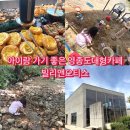 카페빌리 - 성남시 중원구 산성대로 574 | 아이와 모래놀이, 개울가에서 놀기 좋은 영종도 대형카페 빌리앤오티스 후기