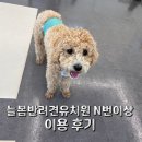 늘봄반려견유치원 이미지