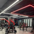 울프피트니스 이미지