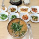 조천장어국 이미지