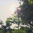 꿈꾸는숲민박 이미지