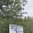 난지천1(난지주차장) | 하늘공원 서울 억새축제 가을축제 마포하늘공원 난지천공원 주차 억새 맹꽁이 전기차 후기