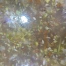 김복경 | 여백의 시간