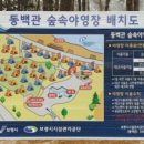 용두해수욕장숲속야영장 이미지