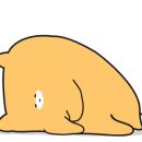 생활미용 초급 이미지