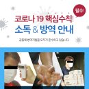 디자몽 이미지