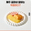 꿈파네찰바제주