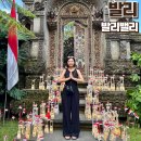 청구과일 | 발리밸리 증상 원인 약 여행자보험 청구 지급 후기 (죽다 살아난 썰 푼다)