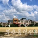 백룡초등학교 이미지