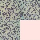 중산동물병원 이미지