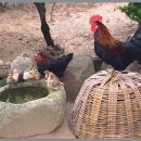 볼눈경로당 이미지