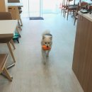 개네집곳간 이미지