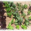 길주농장 이미지