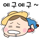 지영 농장 이미지