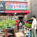 덕정농약종묘사 | [덕정농약종묘사] 양주 모종파는곳, 농자재와 비료 등 농업용품을 한곳에서 구매할수 있는곳! 내돈내산...