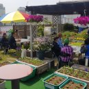 행운동-6 이미지