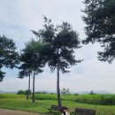 하남 천주교 명례 성지 이미지