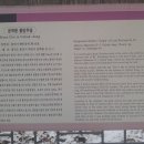 운학동 돌방무덤 이미지