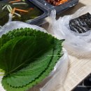 수원맛집/나혼자 산다 화사가 먹고 반한 직화쭈꾸미 내돈내산 먹방&lt;쭈블링&gt;